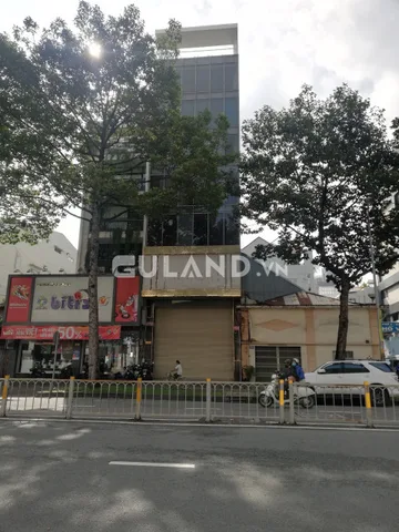 Bất động sản tại TP. Hồ Chí Minh - ảnh 1