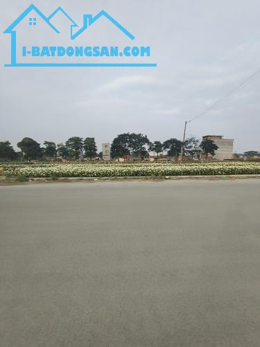 Bất động sản tại Hải Phòng - ảnh 1