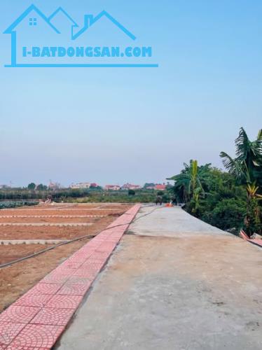 Bất động sản tại Hưng Yên - ảnh 1