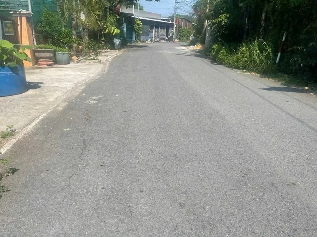 Bất động sản tại Bình Dương - ảnh 1
