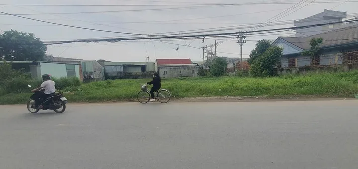 Bất động sản tại Long An - ảnh 1