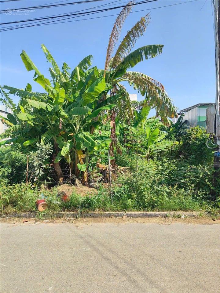 Bất động sản tại Kiên Giang - ảnh 1