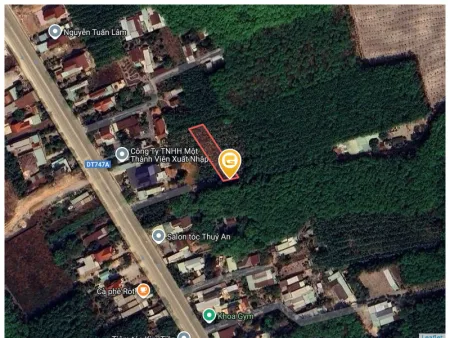 Bất động sản tại Bình Dương - ảnh 1