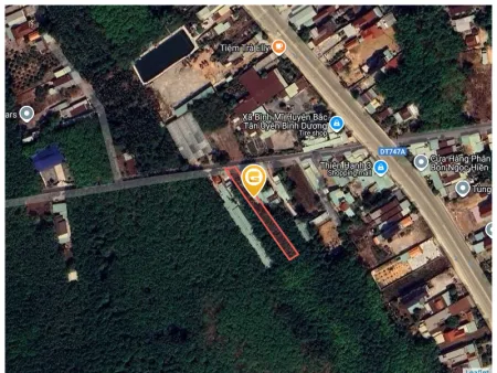 Bất động sản tại Bình Dương - ảnh 1