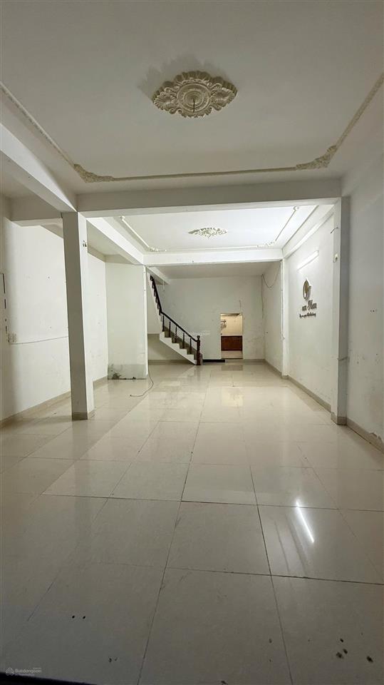Bất động sản tại Đà Nẵng - ảnh 1