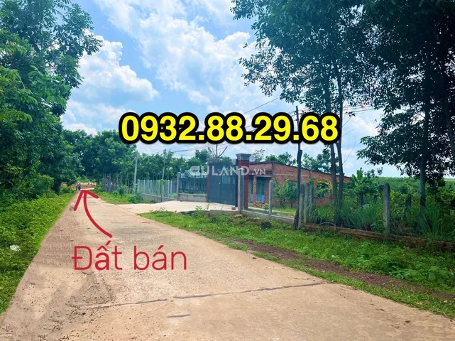 Bất động sản tại Bình Phước - ảnh 1