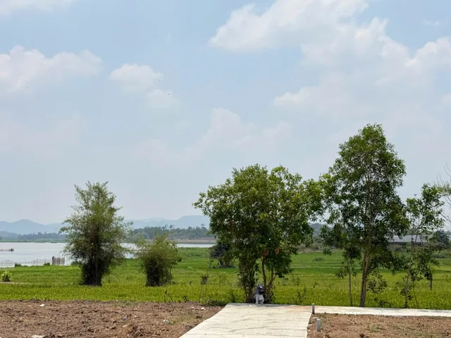 Bất động sản tại Đắk Lắk - ảnh 1