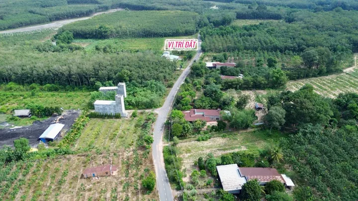 Bất động sản tại Bình Dương - ảnh 1