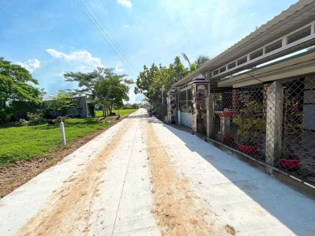Bất động sản tại Long An - ảnh 1