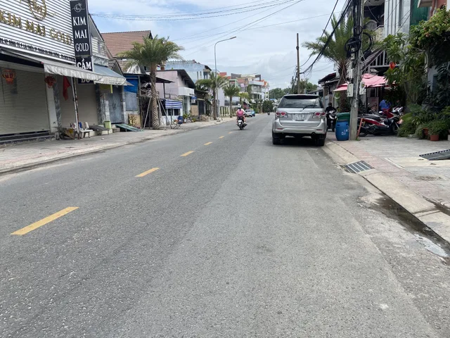 Bất động sản tại Bình Dương - ảnh 1