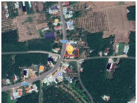 Bất động sản tại Bình Dương - ảnh 1