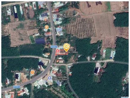 Bất động sản tại Bình Dương - ảnh 1
