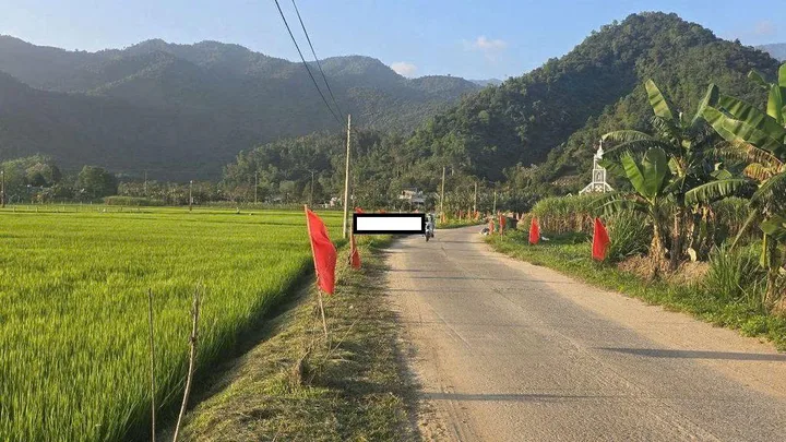 Bất động sản tại Đà Nẵng - ảnh 1
