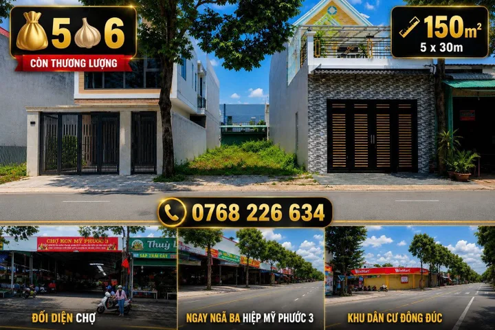 Bất động sản tại Bình Dương - ảnh 1