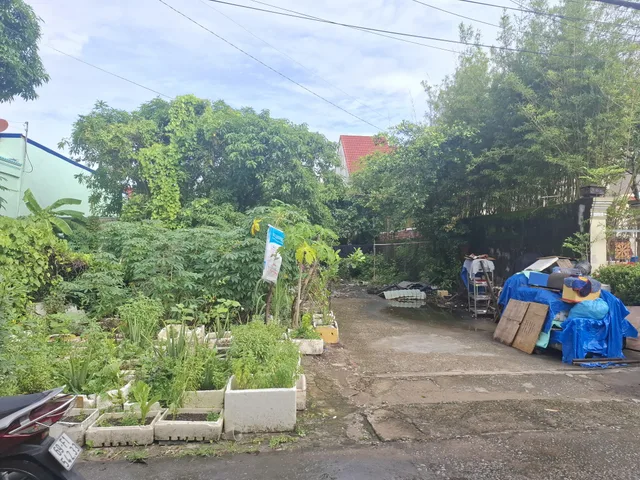 Bất động sản tại Cà Mau - ảnh 1