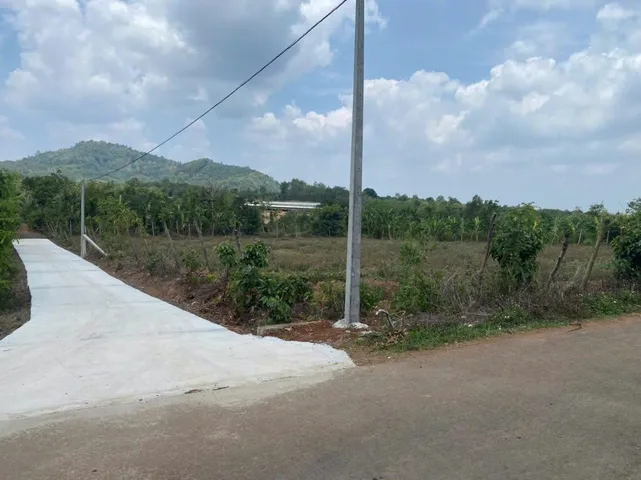 Bất động sản tại Đắk Lắk - ảnh 1