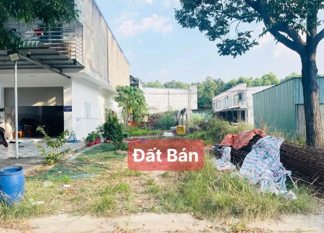 Bất động sản tại Bình Dương - ảnh 1