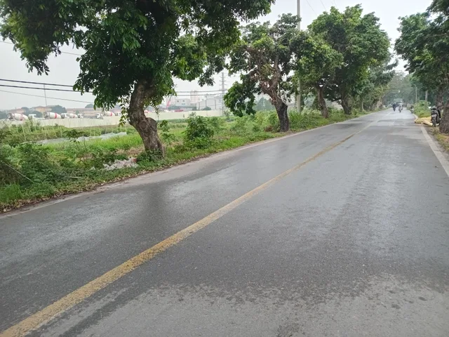 Bất động sản tại Hưng Yên - ảnh 1