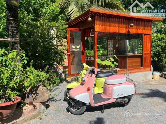 Bất động sản tại Cần Thơ - ảnh 1
