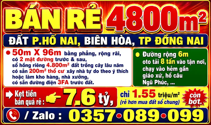 Bất động sản tại Đồng Nai - ảnh 1