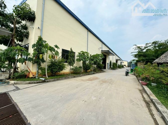 Bất động sản tại Bình Dương - ảnh 1