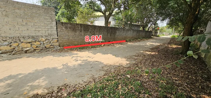 Bất động sản tại Phú Thọ - ảnh 1