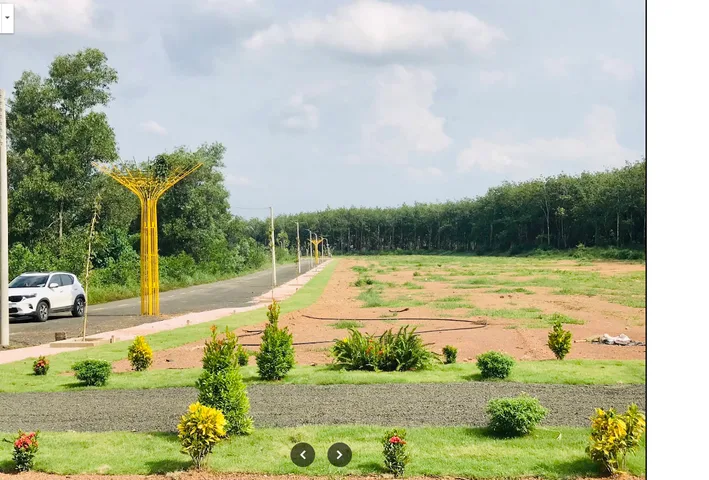 Bất động sản tại Đồng Nai - ảnh 1