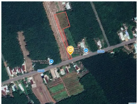 Bất động sản tại Bình Dương - ảnh 1