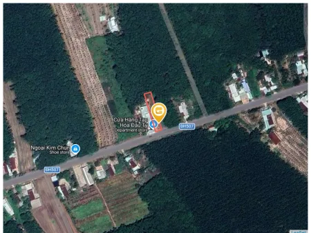 Bất động sản tại Bình Dương - ảnh 1