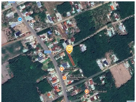 Bất động sản tại Bình Dương - ảnh 1