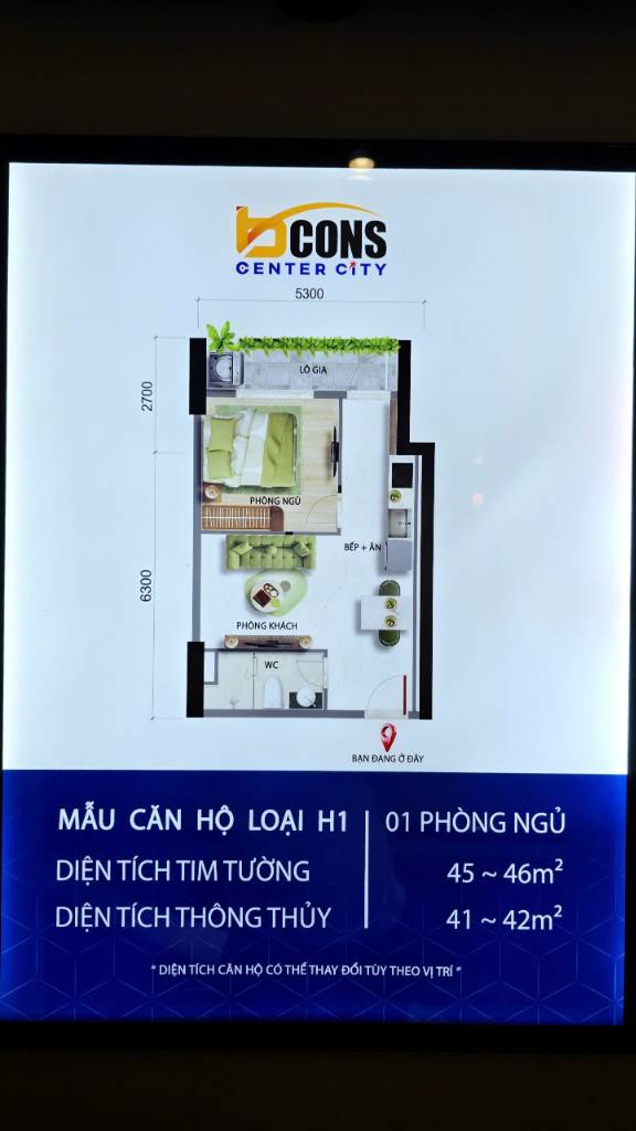 Bất động sản tại Bình Dương - ảnh 1