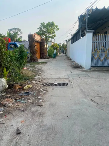 Bất động sản tại Bình Dương - ảnh 1