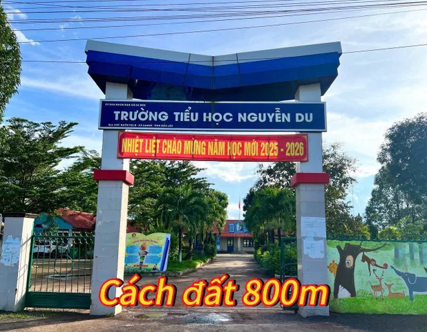 Bất động sản tại Đắk Lắk - ảnh 1