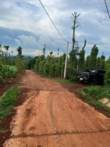 Bất động sản tại Đắk Lắk - ảnh 1