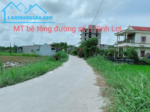 Bất động sản tại Long An - ảnh 1