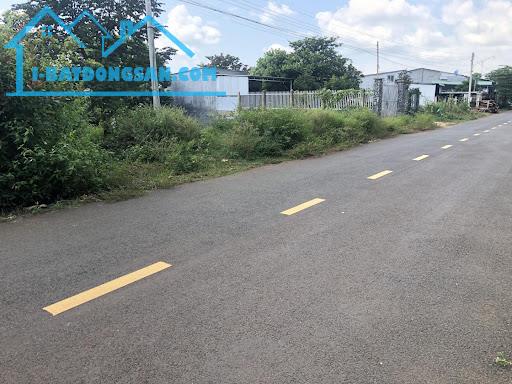 Bất động sản tại Bình Phước - ảnh 1
