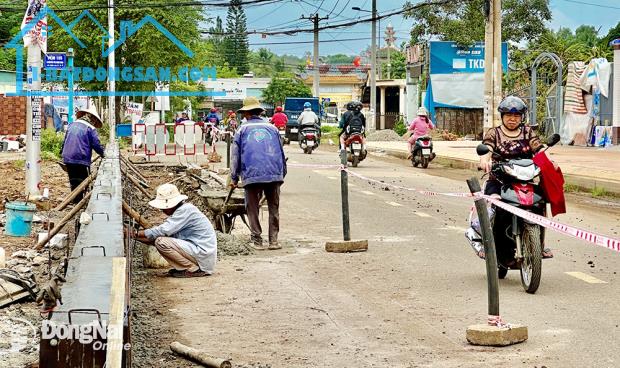 Bất động sản tại Bình Dương - ảnh 1