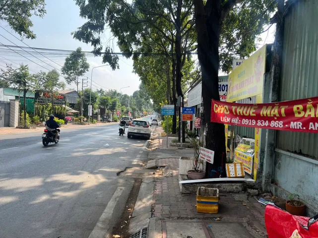 Bất động sản tại Bình Dương - ảnh 1