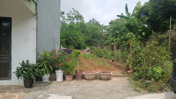 Bất động sản tại Phú Thọ - ảnh 1