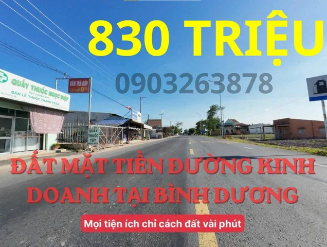 Bất động sản tại Bình Dương - ảnh 1