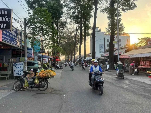 Bất động sản tại Bình Dương - ảnh 1