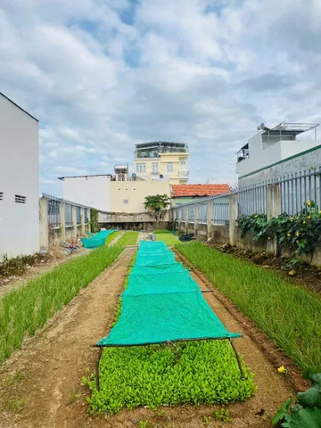 Bất động sản tại Khánh Hòa - ảnh 1