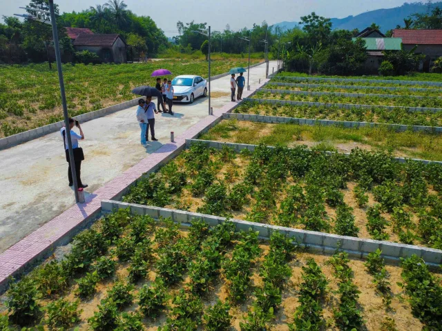 Bất động sản tại Thừa Thiên Huế - ảnh 1