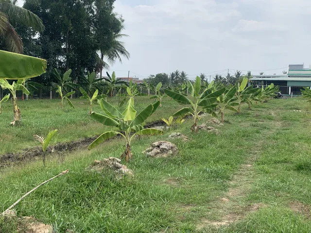 Bất động sản tại Tây Ninh - ảnh 1