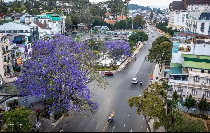 Bất động sản tại Lâm Đồng - ảnh 1