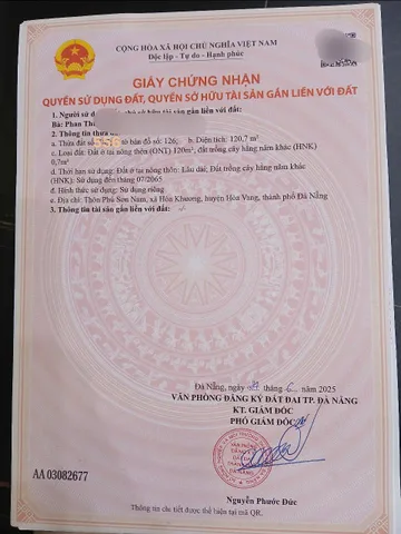 Bất động sản tại Đà Nẵng - ảnh 1