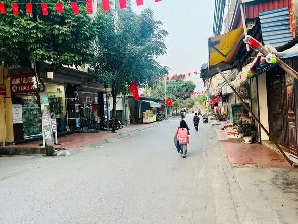 Bất động sản tại Hải Phòng - ảnh 1