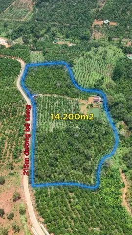Bất động sản tại Lâm Đồng - ảnh 1