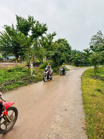 Bất động sản tại Phú Thọ - ảnh 1