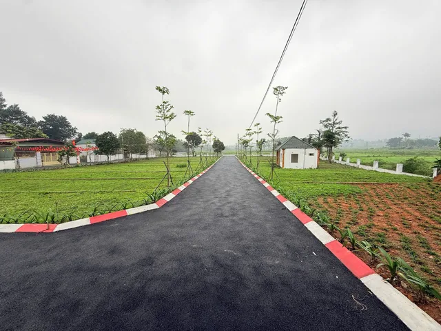 Bất động sản tại Phú Thọ - ảnh 1